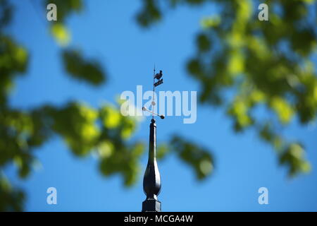 Flügel im blauen Himmel Stockfoto