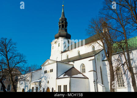 Toomkirik, Dom Kirche der Heiligen Maria, auf dem Domberg, Tallinn, Estland Stockfoto