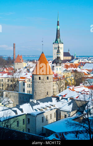 Erhöhte Ansicht, Altstadt im Vordergrund, Tallinn, Estland Stockfoto