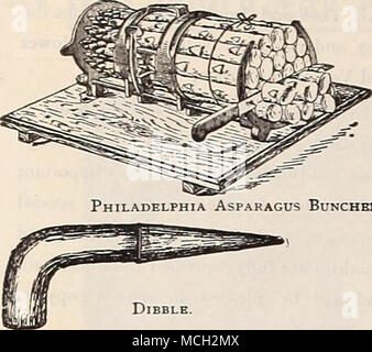 . Philadelphia Spargel Bunchbr. Dibble r Dc CK oder Unkraut Lifter. Spargel Messer.^ sggiSSi [ . :.. Â v:;..: 1 t BERRY HAKEN ârr' T11-â ¢ â â â &Lt;HHj * Stabile Push Besen. Stockfoto