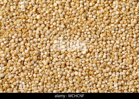 Weiß Quinoa Samen Hintergrund - Detail Stockfoto