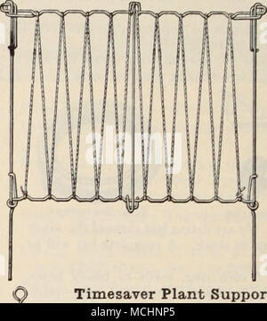 . Tape. r&gt; ich 6 Zoll Breite, gefärbt grün, fein für das Binden bis schwere Pflanzen, wie Dahlien. 250 Yard Spulen, $ 1,50, Postpaid; 1000 Yard Spulen, $ 3,50; Postpaid $ 3.75 Sweet Pea, Gartenerbsen und Vine Trellis. Höhe 4 Meter, Länge 5 Fuß, Rahmen aus ich Zoll, Galvan-Stahl, mit einem grünen, nicht-Seil Zentrum verblassen, nicht Hitze und brennen 10-der Pflanzen. Schnell und ohne Schrauben, Schrauben oder Werkzeuge montiert. Jede. 2 $ 25 Timesaver Anlage unterstützt. Unterstützt werden von Blankstahl, sind spitz und durchgeschleift. Jede Beteiligung ist mit einem verzinkten Draht schieben Clip und Garn für das Binden der Plan Stockfoto