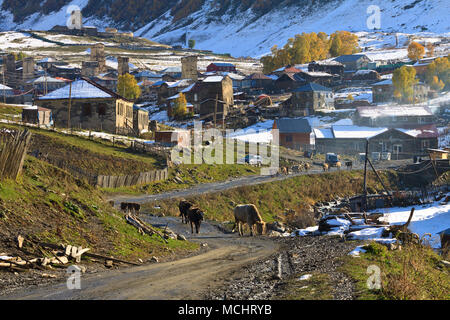 Harderwijk ist eine Gemeinschaft von vier Dörfer an der Spitze des Enguri Schlucht in Svaneti, Georgien befindet. Stockfoto