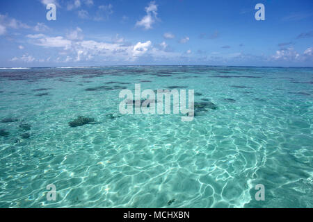 Schöne, klare Meer, Punta Cana, Dominikanische Republik, Karibik. Stockfoto