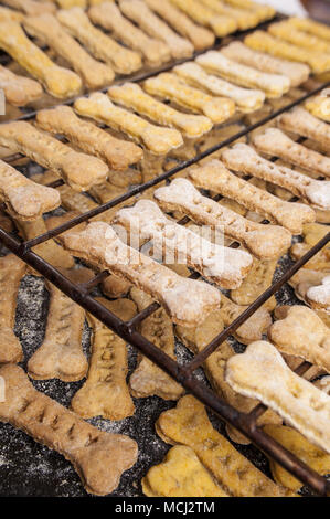 Hausgemachte Hund Knochen Kühlung. Stockfoto