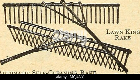 . Automatische selbstreinigende Rake LEAF-Racks. Die Keystone Blatt Rack kann auf jeder Schubkarre mit abnehmbaren Seiten verwendet werden. Aus verzinktem Draht auf einen Holzrahmen verschraubt, mit einer Kapazität von 10 Bushel ist es recht bequem, für das Sammeln von Blättern, Gras und Müll. Preis, nicht einschließlich schubkarre 8 00 MOSS. Sphagnum, für wachsende Orchideen und Verpackungsanlagen, Ballen 3 50 PAPIER, FÜR DEN SCHUTZ VON SELLERIE. Wir übernehmen für Sie die beste Qualität von Papier erhältlich für diesen Zweck. Praktisch alle Gärtner verwenden, das für die Herstellung der hochwertigsten Sellerie unerlässlich. Pro Rolle, S 2,25; 5 Rollen ^ 10 00 Auf Stockfoto