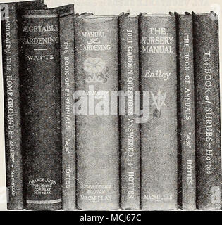 . Stauden, das Buch (Hottes). Zu den allgemeinen Grundsätzen der Anbau, Verwendung und Verbreitung von altmodischen Hardy mehrjährige Pflanzen gewidmet. Überarbeitet und erweitert. . $ 1 50 Planung und Pflanzung der Home Garten (Pauline Murray). Ein beliebtes Handbuch mit prägnanten und de-Pendable Informationen die Macher des kleinen Gärten zu helfen. 3 SO Pflanze Kultur (Oliver). Eine herrliche Handbuch der täglichen Praxis für die Floristen und Gärtner 3 50 Pflanzen Vermehrung - Gewächshaus und Gärtnerei Praxis (kains). Die Beschreibung der neuesten genehmigten Methoden der Pflanzenvermehrung - Baumschule, Gewächshaus und Garten Methoden. Al Stockfoto