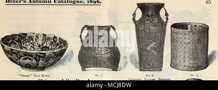 . "Imari" Lily Schüssel. Chinesische Lily Schalen. Die chinesische Heilige Lilie oder Narzissen, illustriert und auf Seite 13 beschrieben. Diese ist gewachsen, Schalen, die von den Himmelsbewohnern; ihre Kultur ist der einfachste, nur notwendig, um die Glühlampe zu platzieren und Surround mit Kieselsteinen Umstürzen von halten. Mit Wasser füllen und in einem kühlen, dunklen Ort für zwei oder drei Wochen verankert zu werden. Sie können dann dem Licht gebracht werden. " IMARI " LILY SCHALEN. Nr. 3. Japanischer Körbe. Feine japanische Ware, sehr Dekor - in Rot, Blau, Grün, Gelb usw., außerordentlich attraktiv. (Siehe Schnitt). 5 Ich habe in. Zu halten 1 bu Stockfoto