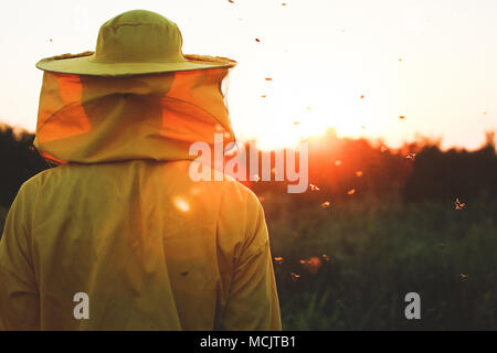 Imker in den Sonnenuntergang mit Bienen um ihn herumschwirren umgeben Stockfoto