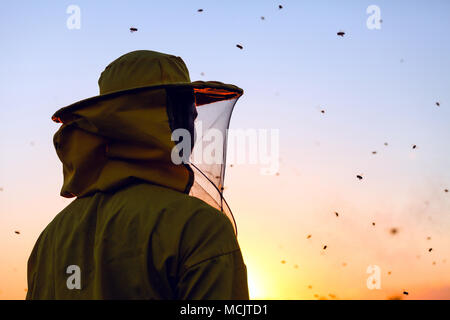 Imker in den Sonnenuntergang mit Bienen um ihn herumschwirren umgeben Stockfoto