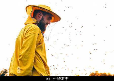 Imker in den Sonnenuntergang mit Bienen um ihn herumschwirren umgeben Stockfoto