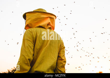 Imker in den Sonnenuntergang mit Bienen um ihn herumschwirren umgeben Stockfoto