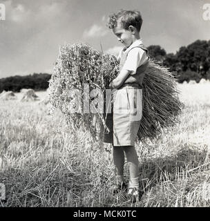 1950er Jahre, Farmer's Sohn, ein kleiner Junge in Shorts und Sandalen stehend in einem Feld mit einem Haufen Stroh. Kinder der Landwirtschaft werben oft helfen, die in den Sommerferien wie das Sammeln von Stroh nach dem Mähen. Stockfoto