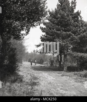 1950er Jahre, ein Gentleman und Lady Walking im Freien zusammen auf einem Pfad in den Wald. Stockfoto