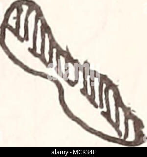 . C-s-o 4 - 3 3 auf + -> C - M C C OL O CD t-lC oder - Ich - ich - C CD T-CO3 CO-CD CO I I-I03 CO o n3 CD CO i-o-Q S 03 03 CD CD CO Stockfoto