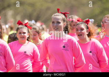 Washington, D.C., Vereinigte Staaten - 14 April, 2018 All star Tänzer von der Universität von der Distrikt von Columbia im Jahr 2018 National Cherry Blossom Parade Stockfoto