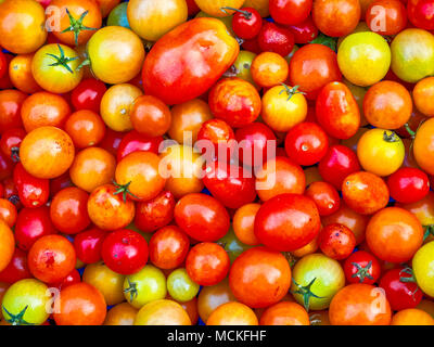 Farmers Market in Stadt Orvieto in Umbrien, Italien Stockfoto