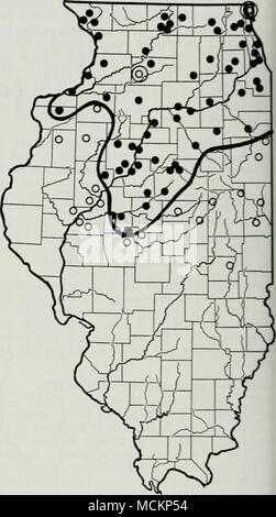 . Abb. 4. - Verteilung der Northern Illinois Brut (Marlatt XIII) der periodischen Zikaden in Illinois. Schwarze Punkte zeigen positive Datensätze der erwachsenen Exemplare, Skins, Löcher in den Boden, Kennzeichnung Ästen, oder singen. Kreise imlicatp negative Einträge in Bereichen suchte. "Oods südlich von Springfield und Wäldern in der Nähe von Mir - chanicsburg zeigte keine e%' Idence der Zikaden (Sped-niens, Singen, Felle, oder Löcher in den Boden). Im vorangegangenen Jahr, 1972. das Great Southern Brut entstanden in diesen Wäldern {A. L. Koelling persönliche Kom- munikation 1973). Am Springfield und Mecliani (. Stockfoto