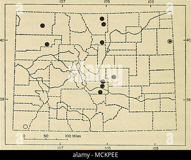 . Abb. 14. Verteilung der beiden Arten von spitzmäusen in Colorado. Einzelne Symbole, Sorex merriami Leuco - genys; konzentrischen Symbole, Blarina brevicauda Caro-linensis. Deck und Anderson, 1956). Die nachfolgenden Datensätze sind in der Regel innerhalb von diesen extremen gefallen. Der natürliche Verlauf von Merriam-webster's Spitzmaus in Colorado ist meist unbekannt. Höhenstufen Palette von Proben aus Phantom Canyon im Teller County wurde geprüft, 6365 bis 9685 Meter. Phantom Canyon ist am Südhang des Pikes Peak massiv. L. N. Braun (1967 b) ökologische Daten auf S. merriami im südlichen Laramie Basin, Wyoming. Arm-strong Ein Stockfoto