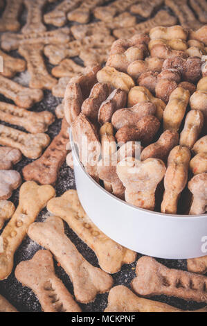 Hausgemachte und gesunden Kürbis Hund Knochen Cookies. Stockfoto