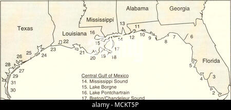 . Zentrale Golf von Mexiko 14. Mississippi Ton 15. Lake Borgne 16. See Pontchartrain 17. Breton/Chandeleur Sound 18. Mississippi River 19. Barataria Bay 20. Terrebonne/Timbalier Bay 21. Atchafalaya/Vermilion Bucht 22. Calcasieu See westlichen Golf von Mexiko 23. Sabine See 24. Galveston Bay 25. Brazos River 26. Matagorda Bay 27. Die Bucht von San Antonio 28. Aransas Bay 29. Corpus Christi Bay 30. Laguna Madre 31. Baffin Bay östlichen Golf von Mexiko 1. Der Florida Bay 2. Zehn Tausend Inseln 3. Caloosahatchee River 4. Charlotte Harbour 5. Tampa Bay 6. Suwannee River 7. Apalachee Bay 8. Apalachicola Bay 9. St. Andr Stockfoto