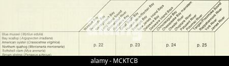 . {Miesmuschel Mytilus eduli^ Bay scallop (Argopecten irradians) Amerikanische Auster (Crassostrea virginica) Nördliche quahog (Mercenaria Mercenaria) Softshell clam {Mya arenaria) Braun Garnelen (Penaeus aztecus) Daggerbiade Palaemonetes pugio Gras Shrimps (Garnelen) Sevensplne Bay {Crangon septemspinosa) Amerikanischer Hummer (Homarus americanu^ Blue Crab (Callinectes sapidus) Skates {Raja Arten) S. 26 S. 27 S. 28 S. 29 Atlantischen Stachelrochen (Dasyatis sabina) Cownose ray {Rhinoptera Bonasus) Shortnose Stör {Acipenser brevlrostrvm) Atlantische Stör {Acipenser oxyrhynchus) Amerikanische Aal {Anguilla rostrata) Stockfoto