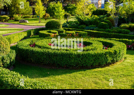 Geometrisch getrimmt Sträucher in Landscape design Stockfoto