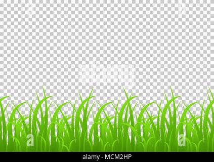 Gras nahtlose grenzüberschreitende, Vector Illustration auf transparentem Hintergrund isoliert. Wiese, Grün, Gras, Feld, Dekoration Element für die Registrierung und Stock Vektor