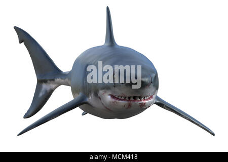 Great White Shark isoliert auf Weiss, 3D-Rendering Stockfoto