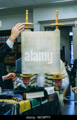 Ein jüdischer Mann hebt eine Torarolle, als er an einem Shacharit Gebet eine Gruppe von orthodoxen Juden tragen Gebet Tallit und Tefillin beten. Stockfoto