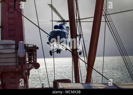 Schiff Hubschrauber, Landung auf dem Landeplatz am Heck des Schiffes. Hubschrauber macht Eis Aufklärung für die Transaktion der Frachtschiffe Stockfoto