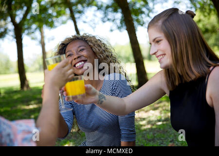 Drei Frauen bei einem Picknick in einem Park Stockfoto