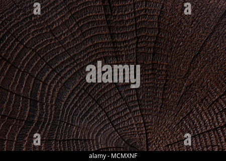 Verbranntem Holz Textur. Dunklen Hintergrund. Nahaufnahme Stockfoto