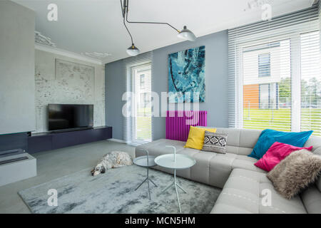 Eleganten grau, geräumige Film Inneneinrichtung mit einem großen Sofa, TV, Bio Kamin, schlafenden Hund und kreativen bunten Dekorationen Stockfoto