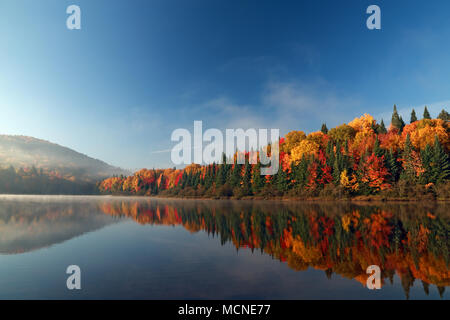 Sunrise, Herbst Wald im Wasser spiegelt. Nationalpark Mont Tremblant, Quebec, Kanada. Herbst in Kanada. Stockfoto