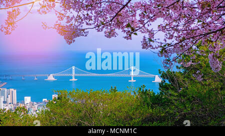 Blick auf gwangan Brücke und Gwangalli Strand in Busan in Südkorea. Schöne Aussicht von Busan, Südkorea. Stockfoto