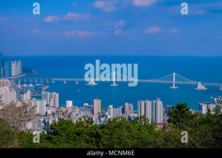 Blick auf gwangan Brücke und Gwangalli Strand in Busan in Südkorea. Schöne Aussicht von Busan, Südkorea. Stockfoto