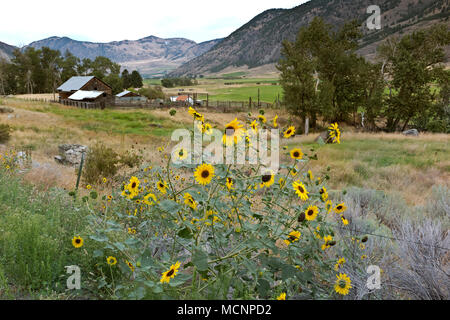 WA 15256-00 ... WASHINGTON - Farmen entlang der Straße 39 Wie macht seinen letzten Tropfen in den Sinlahekin Tal und Palmer See. Stockfoto