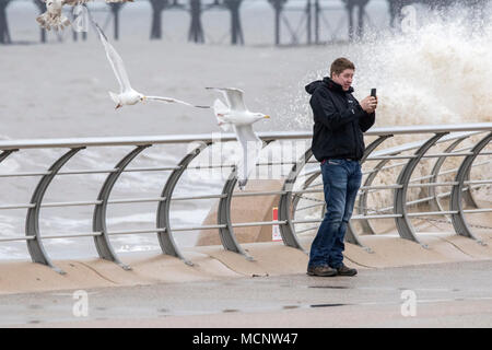 Windiges Wetter, Blackpool, Lancashire. 17. April 2018. UK Wetter. In einigen Teilen des Vereinigten Königreichs aalen Sie sich in der spanischen Plume, wave Schwindler nehmen Ihre Chancen gegen die hohen Wellen smashing gegen das Meer Wand an Blackpools Strandpromenade. Credit: cernan Elias/Alamy leben Nachrichten Stockfoto