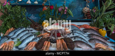 Ein Marktstand mit fangfrischem Octopus, Scampis, Langusten und Fisch mit gestossenem Eis appetitlich angerichtet Stockfoto