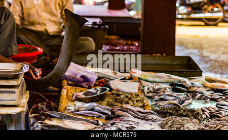 Hilsa rohu Katla Hummer, Garnelen und verschiedene Arten von Fischen in der indischen Fischmarkt in Kolkata angezeigt. Stockfoto