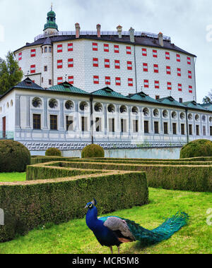 Schloss Ambras bei Innsbruck Stockfoto