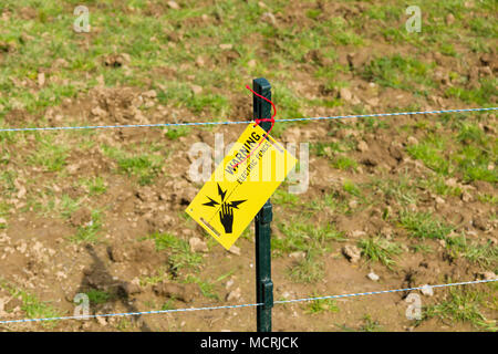 Niedrige Spannung der elektrischen Zaun auf landwirtschaftlichen Betrieben genutzt, um Vieh zu steuern Stockfoto