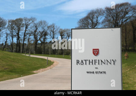 Die Rathfinny Weingut Alfiston East Sussex von Sarah & Mark Treiber gehört. Rathfinny nimmt eine perfekte Südhang, in Sussex Stockfoto