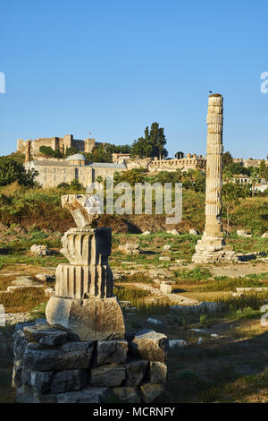 Die Türkei, in der Provinz Izmir, Selcuk Stadt, archäologische Ausgrabungen von Ephesus, der Tempel der Artemis Stockfoto