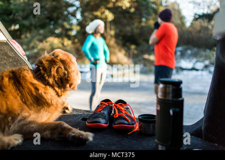 Hund sitzt im Kofferraum und suchen bei Mann und Frau im Gespräch Stockfoto
