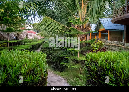 Pfad im Park mit getrimmt Büsche und dekorative Palmen mit Kokosnüssen. Ein Bambus Haus mit Strohdach Stockfoto