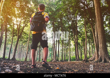 Ein Mann ist ein Tourist in einem Pinienwald mit einem Rucksack. Eine Wanderung durch den Wald. Tropische Reserve für touristische Spaziergänge. Ein junger Mann in eine Wanderung in Th Stockfoto