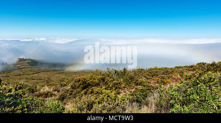 Blick über die Wolken von der Straße zum Haleakala Krater Maui Hawaii Stockfoto