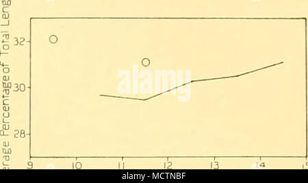 . 10 II 12 13 Länge der Wal in m Abb. 17. Männliche Buckelwale. Messung Nr. 20. Länge des abgetrennten Kopf von kondylus, Trinkgeld zu geben. Abb. 18. Weibliche Buckelwale. Messung Nr. 20. Länge des abgetrennten Kopf von kondylus, Trinkgeld zu geben. Stockfoto